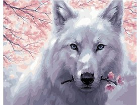 Malování podle čísel - Bílý vlk - 40x50 cm