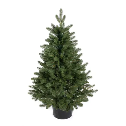 Smrek Skandynawski 100 % 3D v kvetináči
