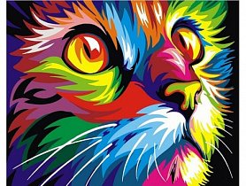 Malování podle čísel - Kočka v barvách - 40x50 cm