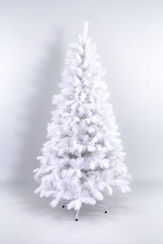Borovica Fluffy biela 120 cm