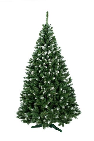 Smrek Jasper s bielymi koncami 220 cm