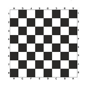 Rolovacia záhradná šachovnica 6,2 × 6,2 m