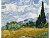 Malování podle čísel - Pole s cypřiši - Van Gogh - 40x50 cm 