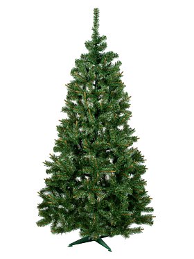 Jedľa Santa